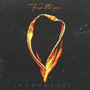 دانلود آلبوم ترکی Harun Adil بنام Feattape
